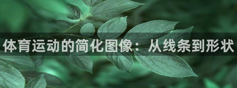 伟德国际登录注册