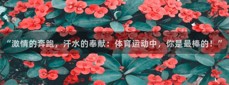 伟德国际体育热门赛事有哪些