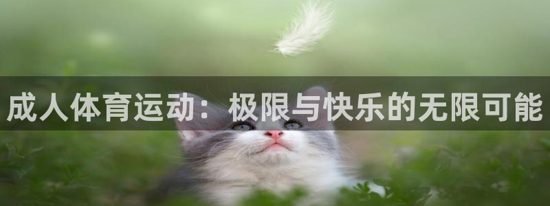 伟德国际体育平台注册