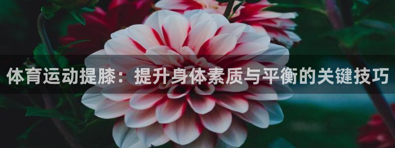 意昂的动画