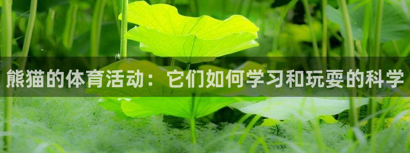 伟德国际2登录地址