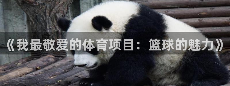 意昂平台登陆