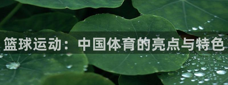 伟德国际体育3