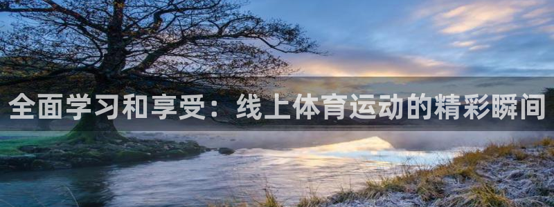 上海伟德国际汽车电子有限公司