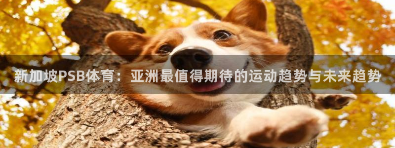伟德国际代理注册