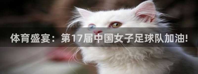 伟德国际凯捷注册