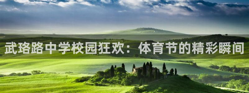 伟德国际体育热门赛事有哪些