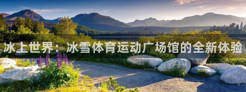 伟德国际体育热门赛事有哪些