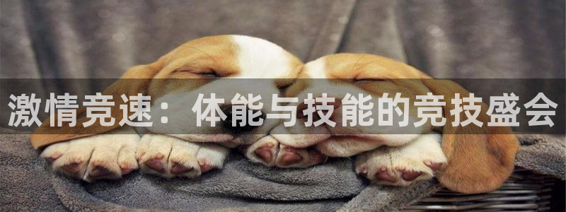 意昂体育官网