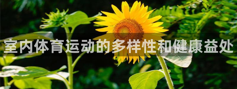 伟德国际体育凯捷平台招商