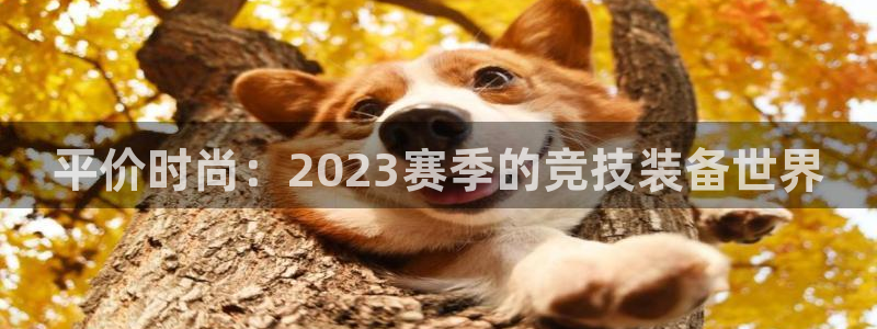 伟德国际体育论坛