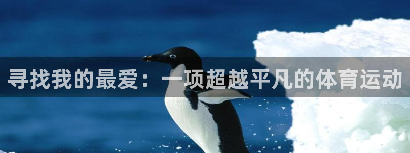 伟德国际平台注册
