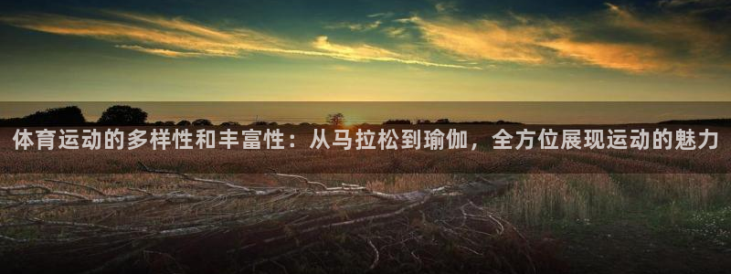 伟德国际体育代理申请流程