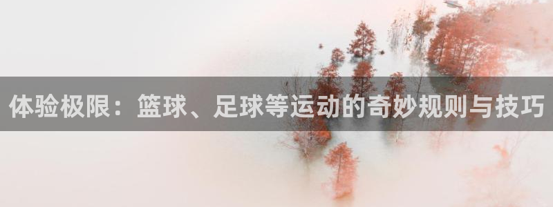 德国意昂集团